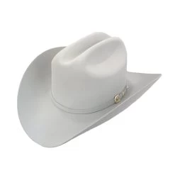 Larry Mahan's 6x Real Felt Hat - Platinum