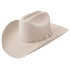 Stetson 5x Lariat Felt Hat 4" Brim - Silverbelly