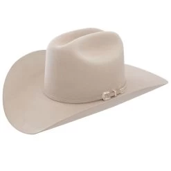Stetson 6x Skyline Felt Hat - Silverbelly