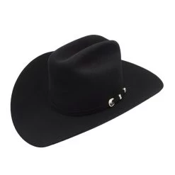 Stetson 10x Shasta Felt Hat Tall Crown 4" Brim - Black (01)