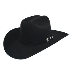 Stetson 10x Shasta Felt Hat 4" Brim - Black (75)