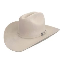Stetson 10x Shasta Felt Hat 4" Brim - Silverbelly