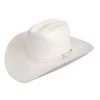 Stetson 10x Shasta Felt Hat 4" Brim - White -Botas Guadalajara Shop Stetson 10x Shasta White