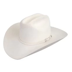 Stetson 10x Shasta Felt Hat 4" Brim - White