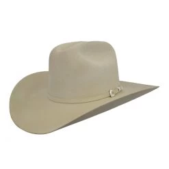 Stetson 5x Lariat Felt Hat 4" Brim - Ivory