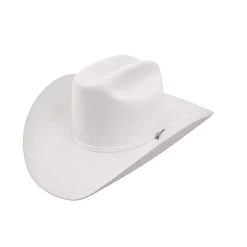 Stetson 6x Rancher Felt Hat - White